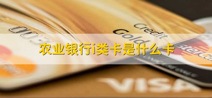 农业银行一类卡是什么卡