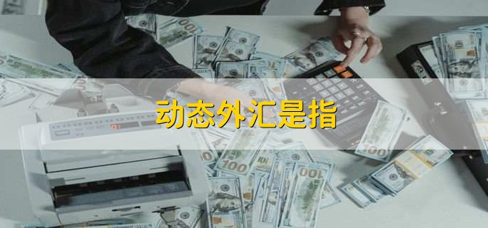 动态外汇是指