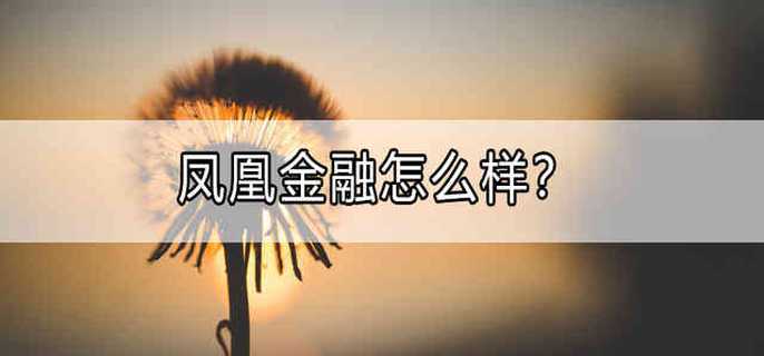 凤凰金融怎么样?