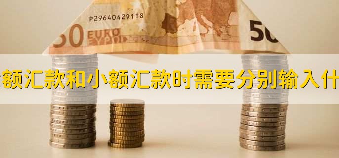 大额汇款和小额汇款时需要分别输入什么？