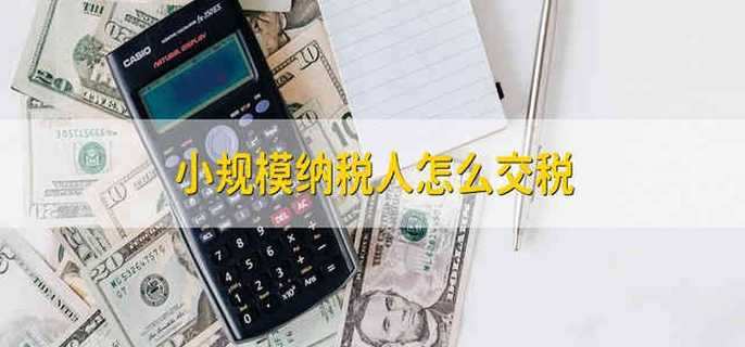 小规模纳税人怎么交税