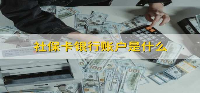 社保卡银行账户是什么