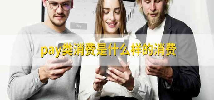pay类消费是什么样的消费
