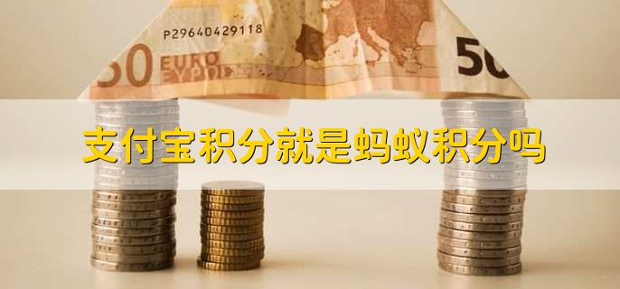 支付宝积分就是蚂蚁积分吗?