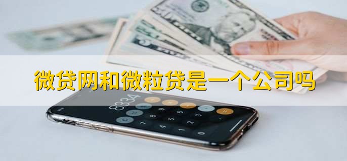 微贷网和微粒贷是一个公司吗