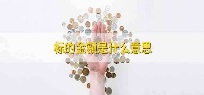 标的金额是什么意思