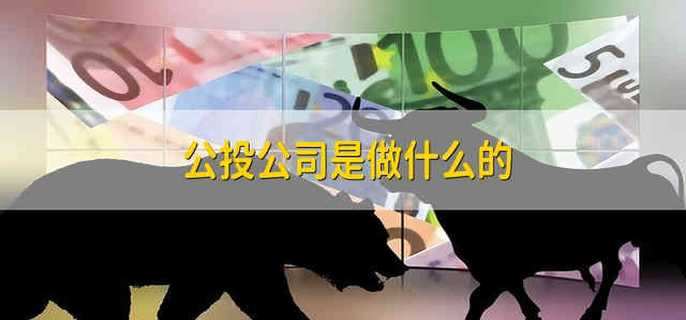 公投公司是做什么的