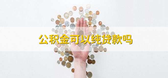 公积金可以纯贷款吗