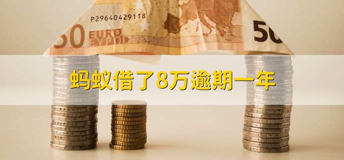 蚂蚁借了8万逾期一年