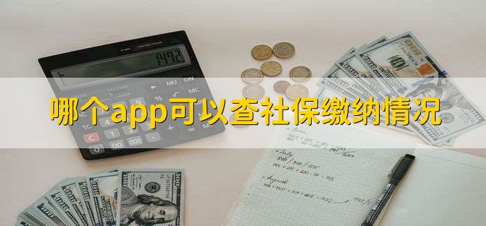哪个app可以查社保缴纳情况
