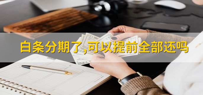 白条分期了,可以提前全部还吗