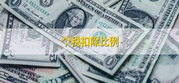 个税扣除比例