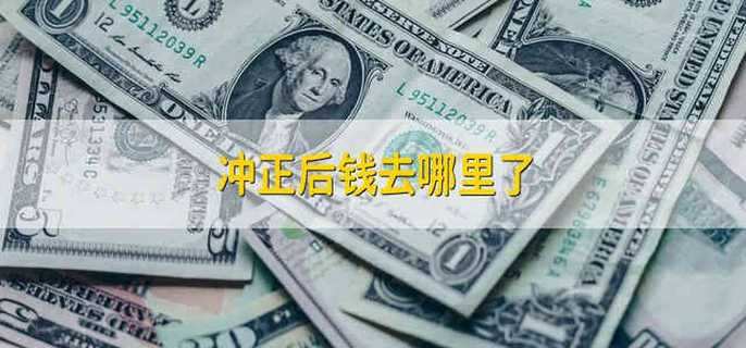 冲正后钱去哪里了