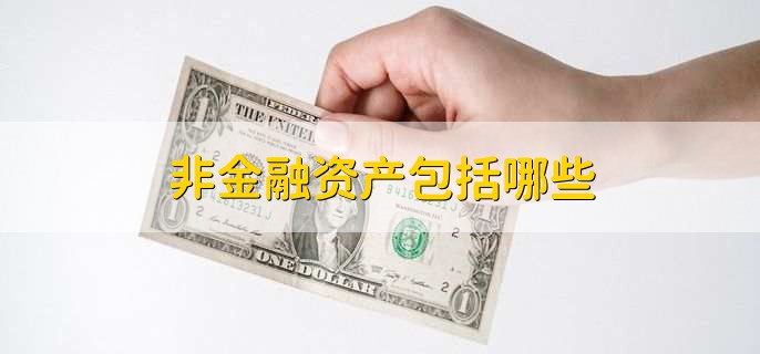 非金融资产包括哪些