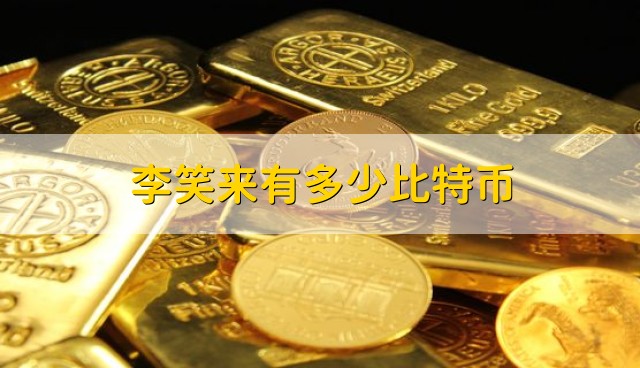李笑来有多少比特币?