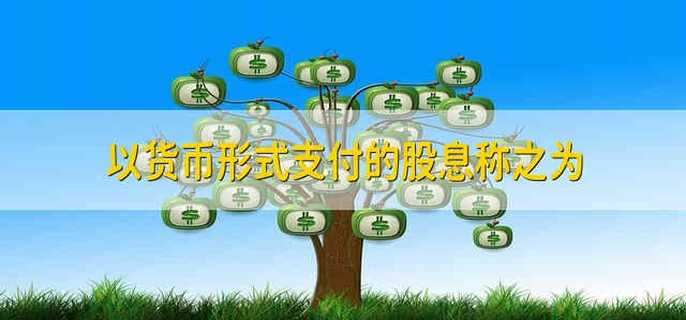 以货币形式支付的股息称之为