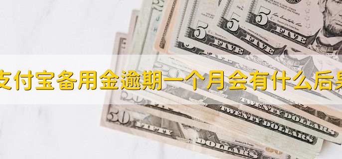 支付宝备用金逾期一个月会有什么后果