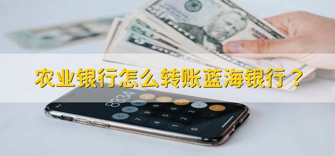 农业银行怎么转账蓝海银行?