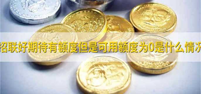 招联好期待有额度但是可用额度为0是什么情况