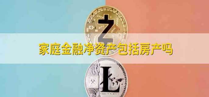 家庭金融净资产包括房产吗