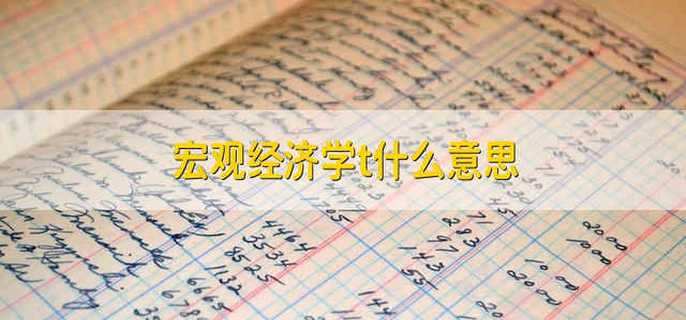 宏观经济学t什么意思