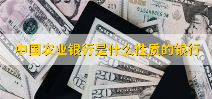 中国农业银行是什么性质的银行