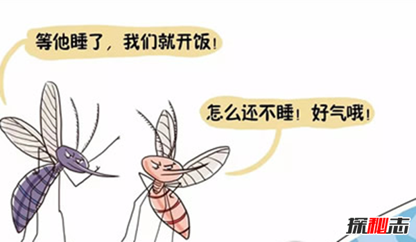 吸髓蚊存在吗?专门吸食人脑髓的吸髓蚊(杜撰不存在的生物)