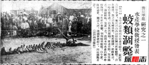 1934年辽宁营口坠龙事件是真的吗，龙骨证据竟被日本人盗走