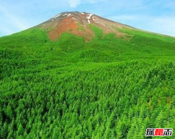 富士山下为什么恐怖?自杀死亡人数成百上千