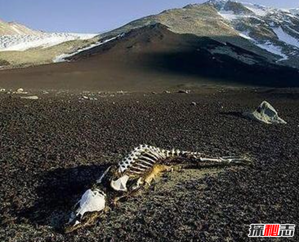 中国十大灵异之地,昆仑山死亡谷通往地狱之门