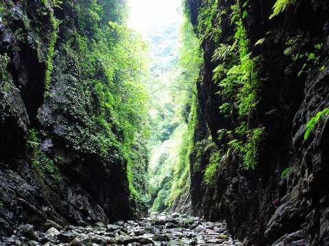 地球十大神秘禁区：第四个是动物坟墓,中国四地上榜