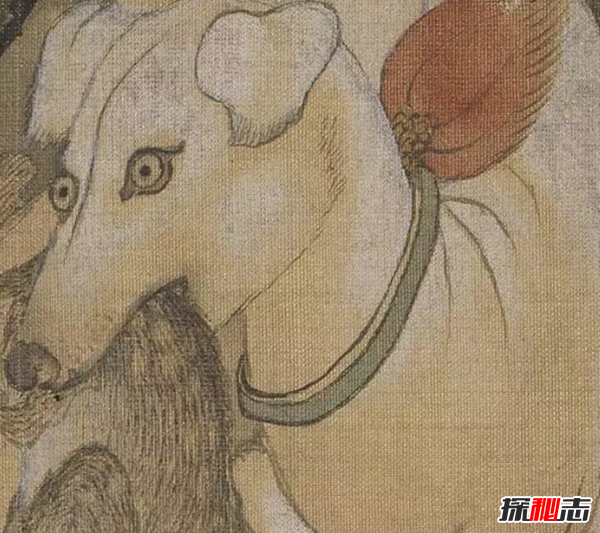 哮天犬的来历,哮天犬在天上是什么神(辅助二郎神斩妖除魔)